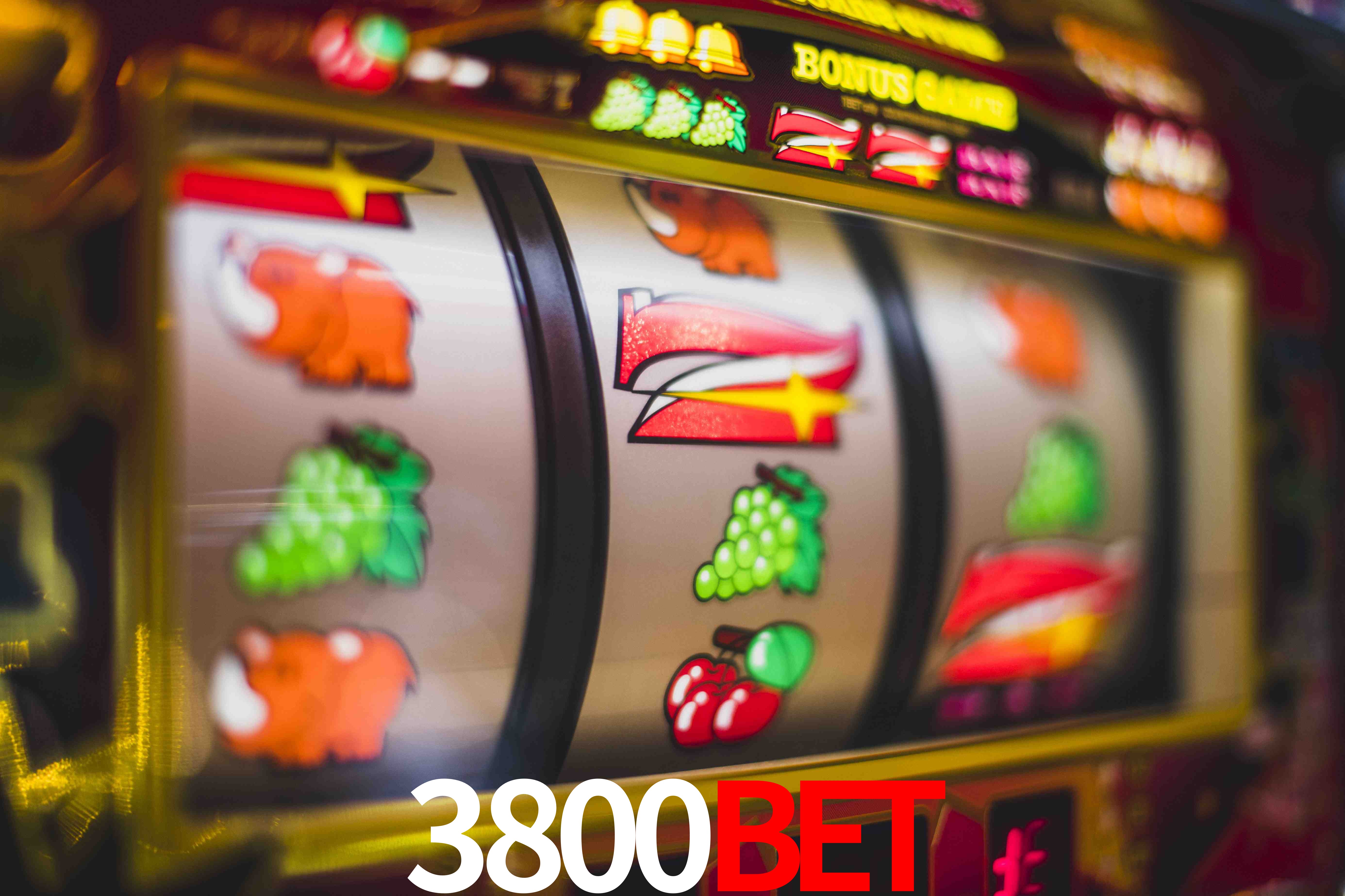 Sports Statistics 3800Bet